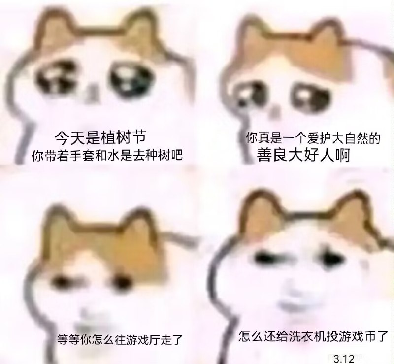 冬彦🔜星缘节 (@dongyan04046375) on X