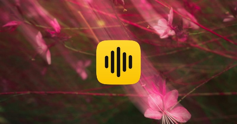 GitHub - AstraFoundry/Arion: Local-first voice input for macOS and Windows. On-device speech recognition, offline dictation, and…