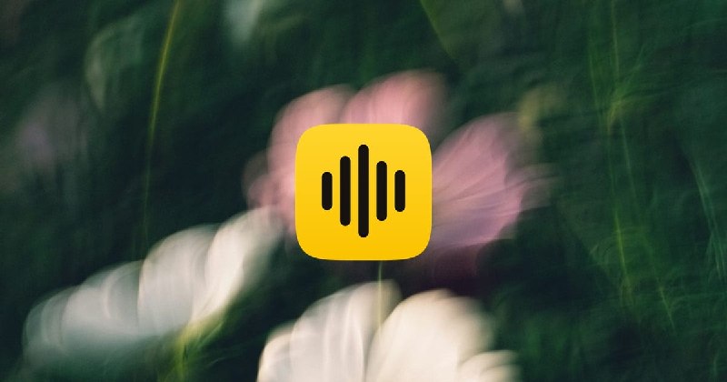 Arion: voice input that stays on your computer