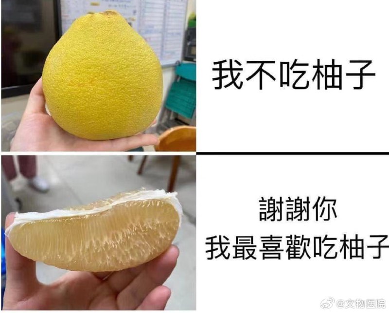 阿米娜・阔伊姆@二代目 on X