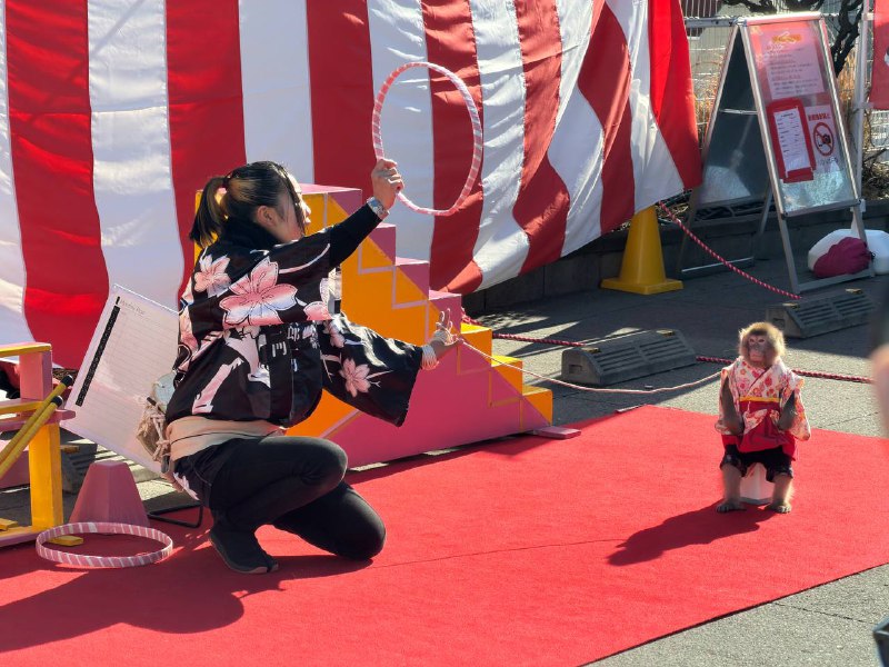 神田明神，买了几个IT御守送工友好热闹呀神田明神，买了几个IT御守送工友好热闹呀