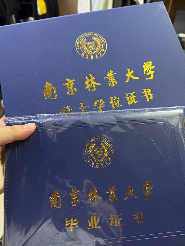 就为了这两张纸😭