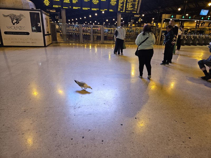 回剑桥~虽然不是这个站的票，但和工作人员说明情况直接开门让我们进了坐一等座（嗯，这里是可以随便坐的，没有固定座位）回剑桥~虽然不是这个站的票，但和工作人员说明情况直接开门让我们进了坐一等座（嗯，这里是可以随便坐的，没有固定座位）