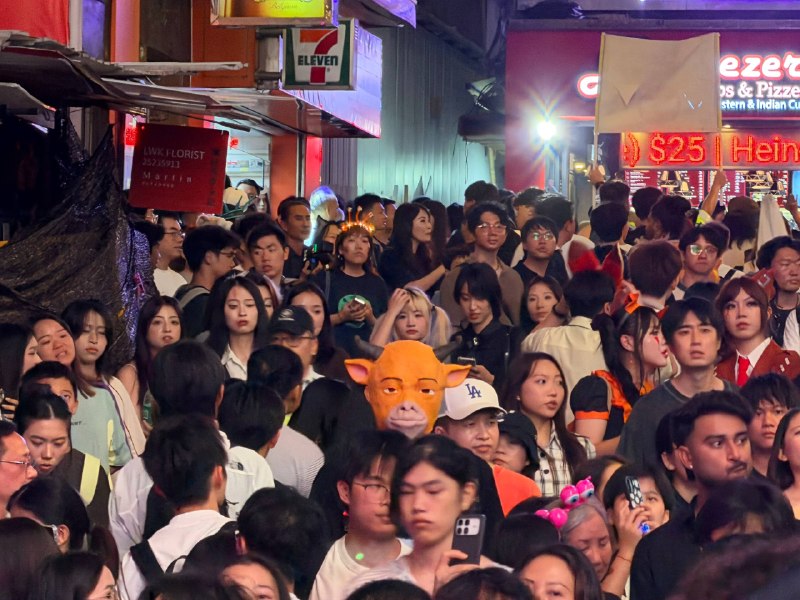 感觉今年没啥狠活回了感觉今年没啥狠活回了