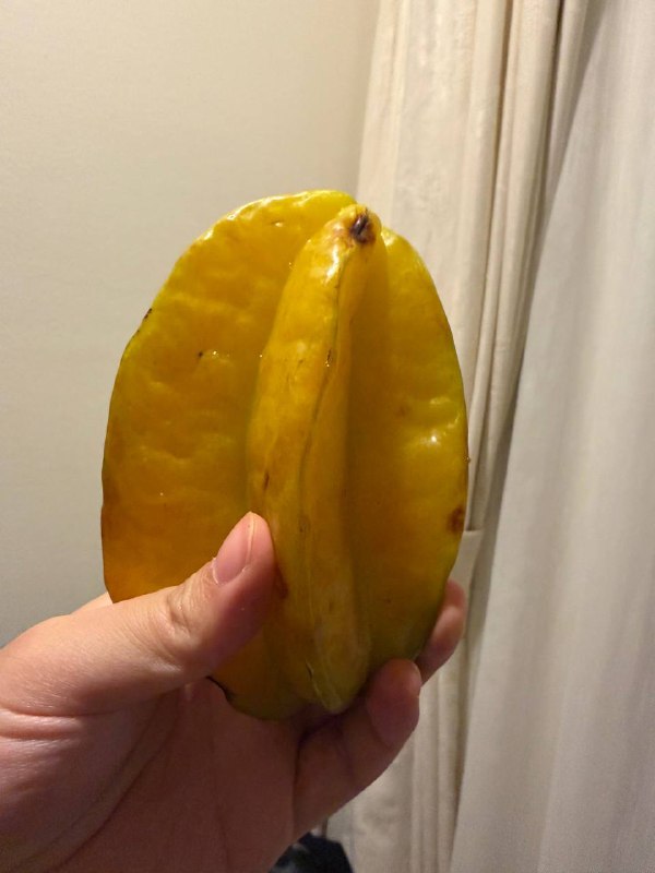 以前只在水果忍者里见过杨桃，实际看上去比想象中大很多以前只在水果忍者里见过杨桃，实际看上去比想象中大很多