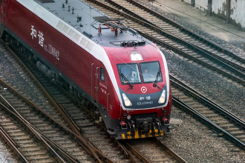 终于不热了，和柚子去拍车了终于不热了，和柚子去拍车了