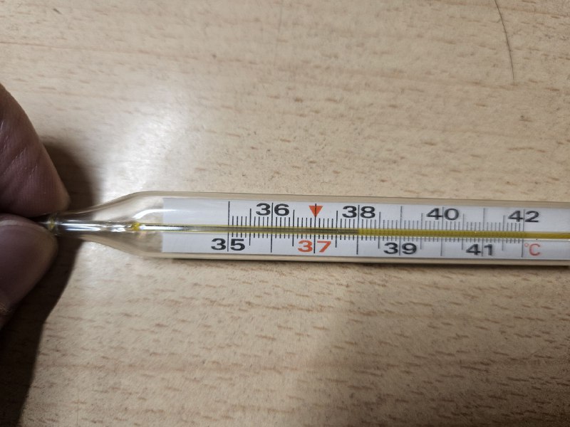 我又发烧了，好亖开香槟