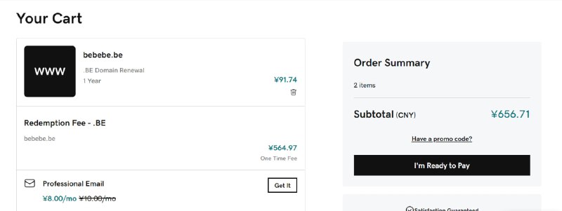 赎金交不起，这么好的域名要丢掉了