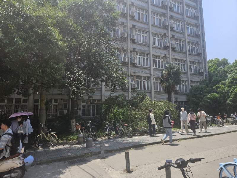 刮了一上午的妖风，宿舍门被反复推开，树干被刮断把电线扯下来了刮了一上午的妖风，宿舍门被反复推开，树干被刮断把电线扯下来了