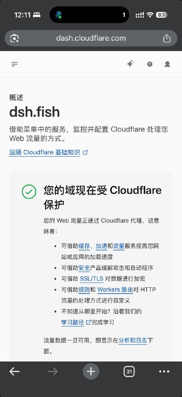 睡前买个域名 dsh大肥鱼项目正在蹬