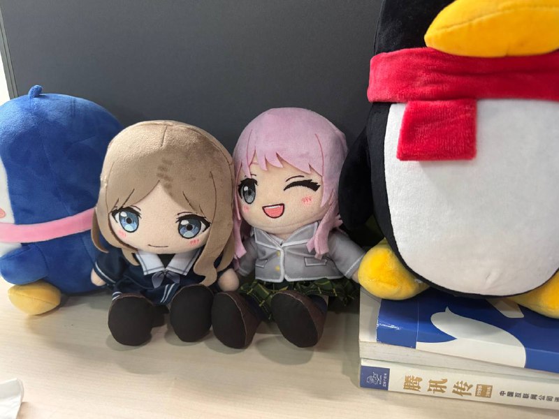 感谢aki寄来的soyo🤗