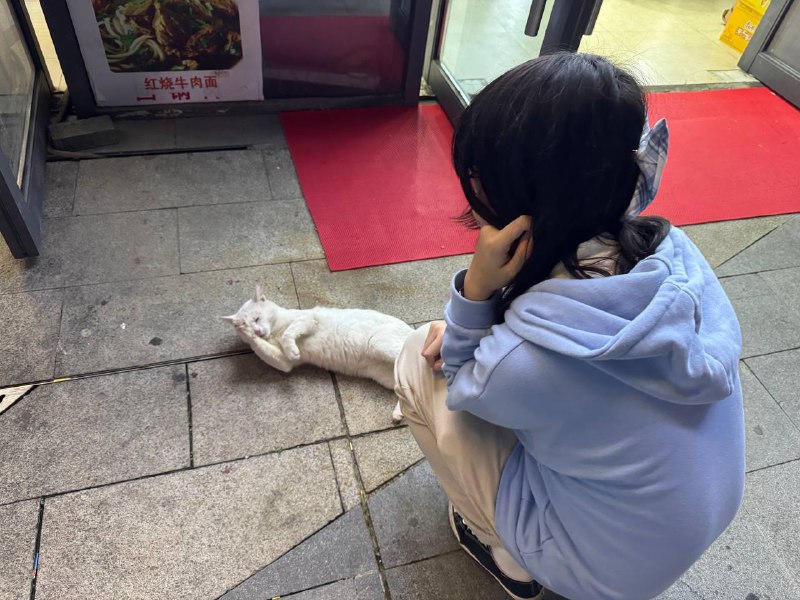 谁家小孩天天蹲门口猫叫