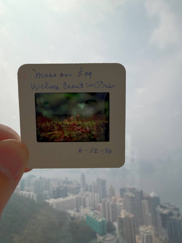 在太古的展览，收获一张胶片