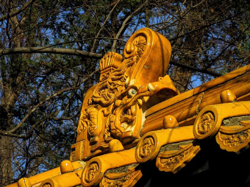 #日常 #图库 #风景 今日#日常 #图库 #风景 今日