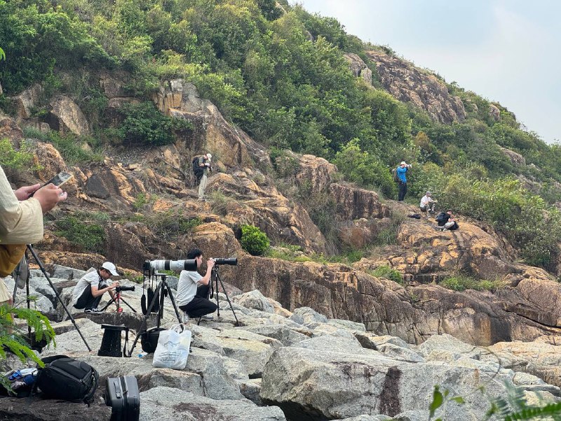 神人机位也就钓鱼佬和摄影佬能扒到了体验了下热带雨林里走线神人机位也就钓鱼佬和摄影佬能扒到了体验了下热带雨林里走线