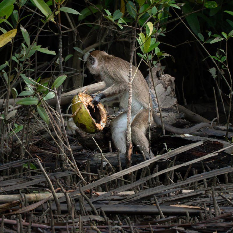 #光与影#光与影