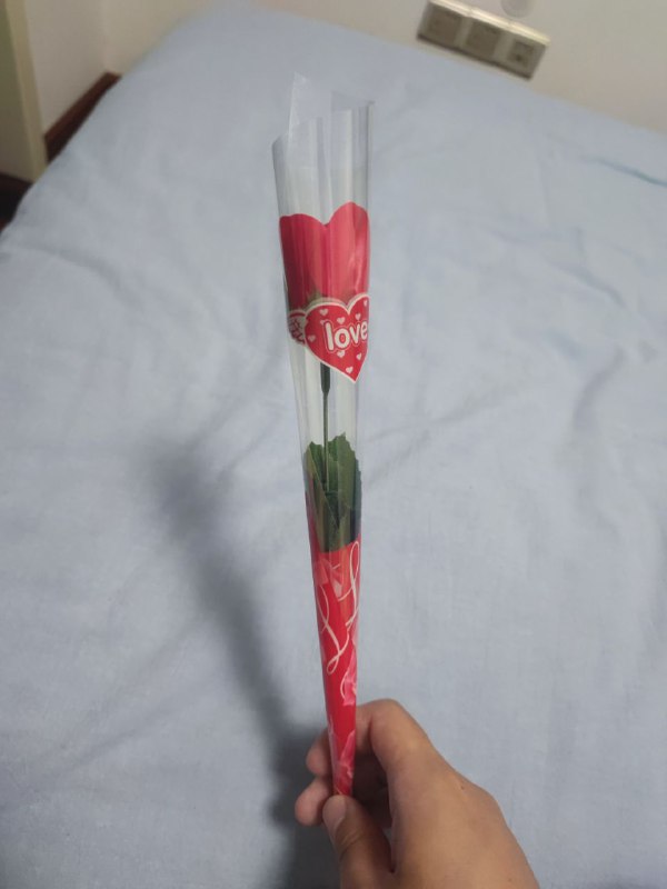 林老师送的花花🥺