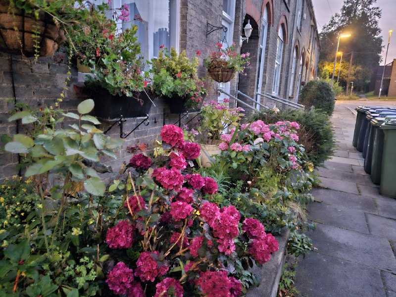 路上随手拍了几张路上随手拍了几张