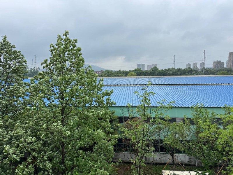 走了垃圾地方一秒钟都不想多呆走的时候直接从厂房一楼窗户跳出去了像肖申克用一把锤子在大雨里找到了救赎走了垃圾地方一秒钟都不想多呆走的时候直接从厂房一楼窗户跳出去了像肖申克用一把锤子在大雨里找到了救赎