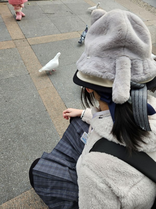 试图空手骗鸽子的某人试图空手骗鸽子的某人