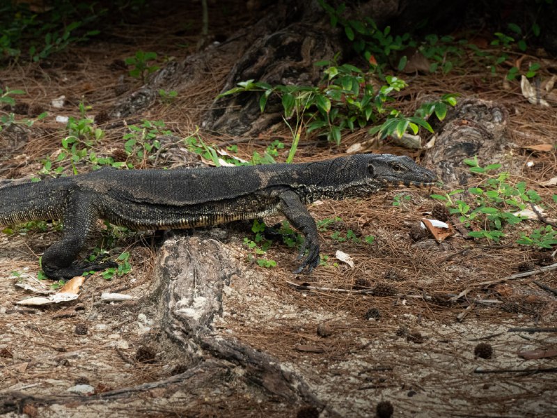 #光与影#光与影