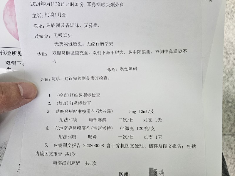 嗅觉出了点问题🫠