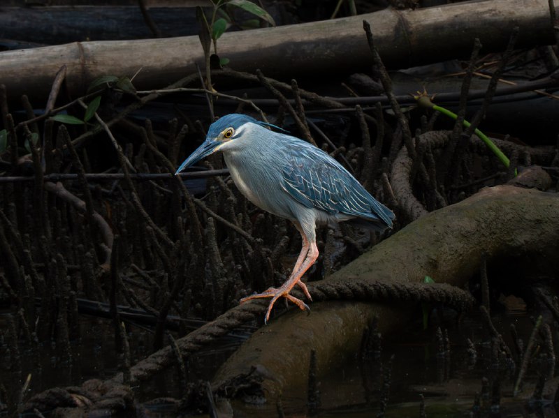 #光与影#光与影