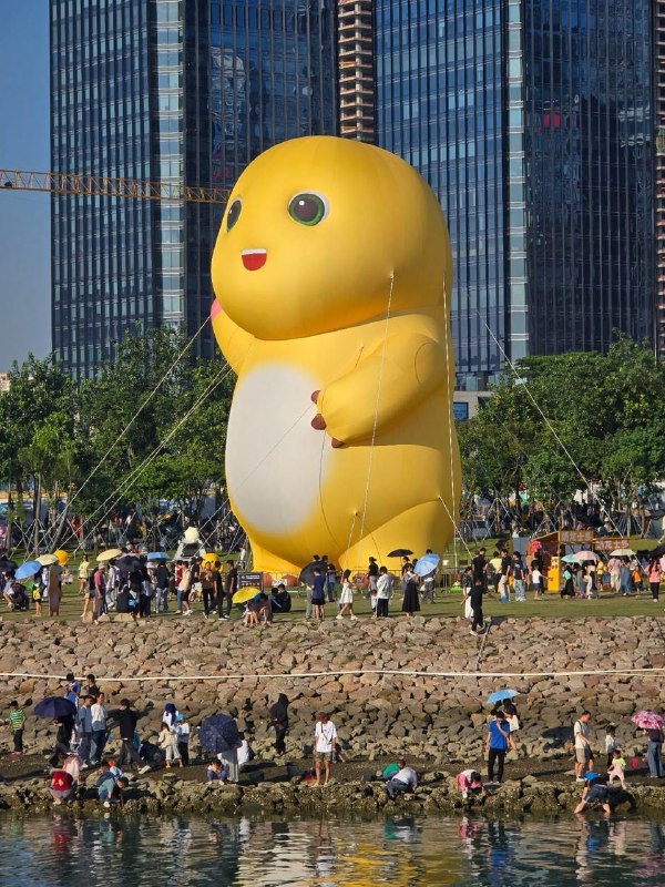 炸一下深圳湾的奶龙炸一下深圳湾的奶龙