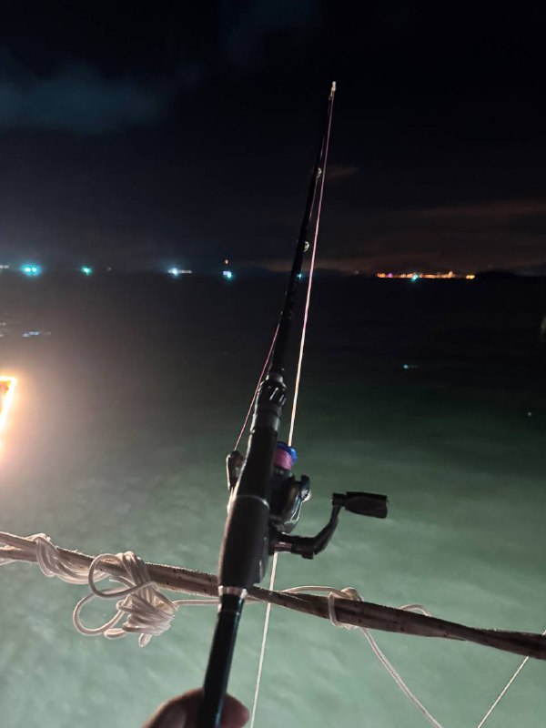 空军七点多下钩到现在一只都没🤡