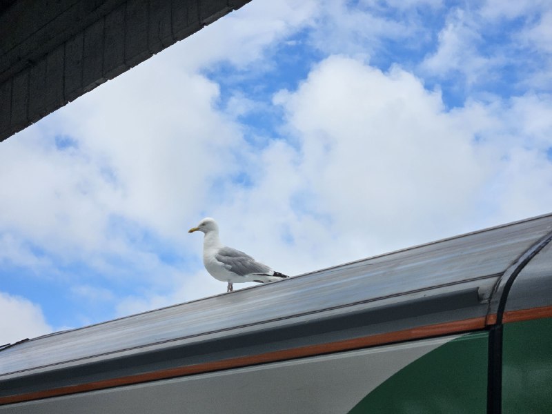 抵达Eastbourne抵达Eastbourne