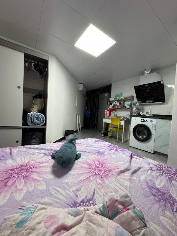 已入住安卓房子