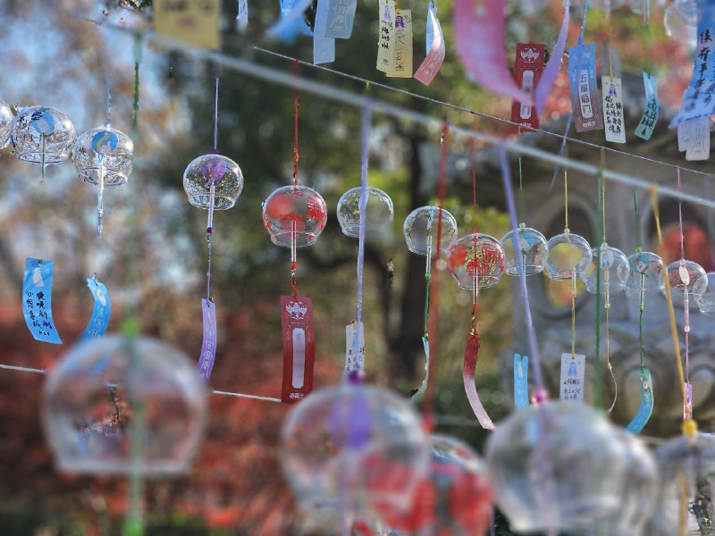 今天拍的最满意的一张